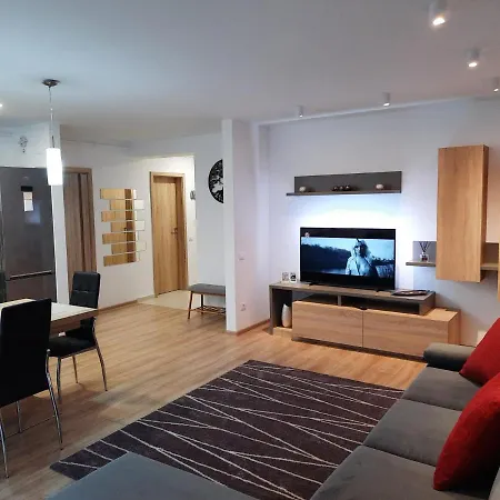 Sorin's Comfortable Apartment Brasov