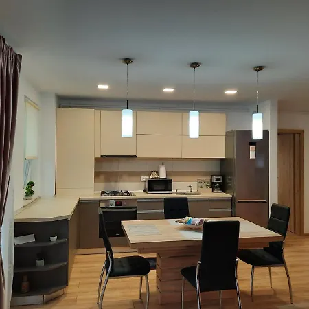 Apartment Sorin's Comfortable