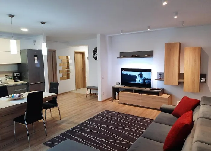 Sorin's Comfortable Apartment Brasov