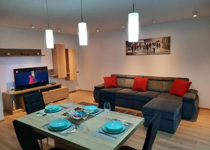 Apartment Sorin's Comfortable